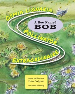 Front cover_A Bee Named BOB