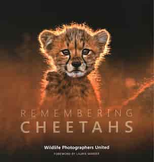 Remembering Cheetahs by Margot Raggett