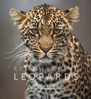 Remembering Leopards