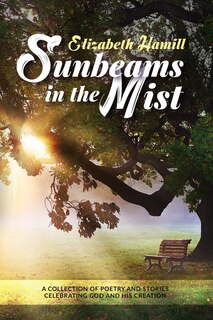 Front cover_Sunbeams in the Mist