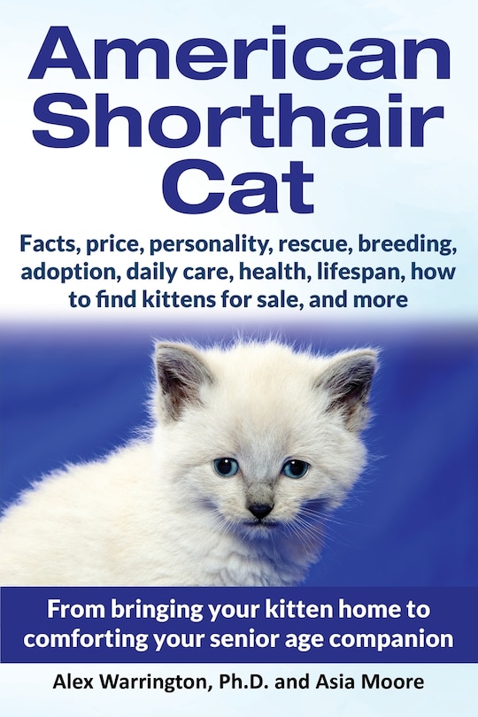 Front cover_American Shorthair Cat