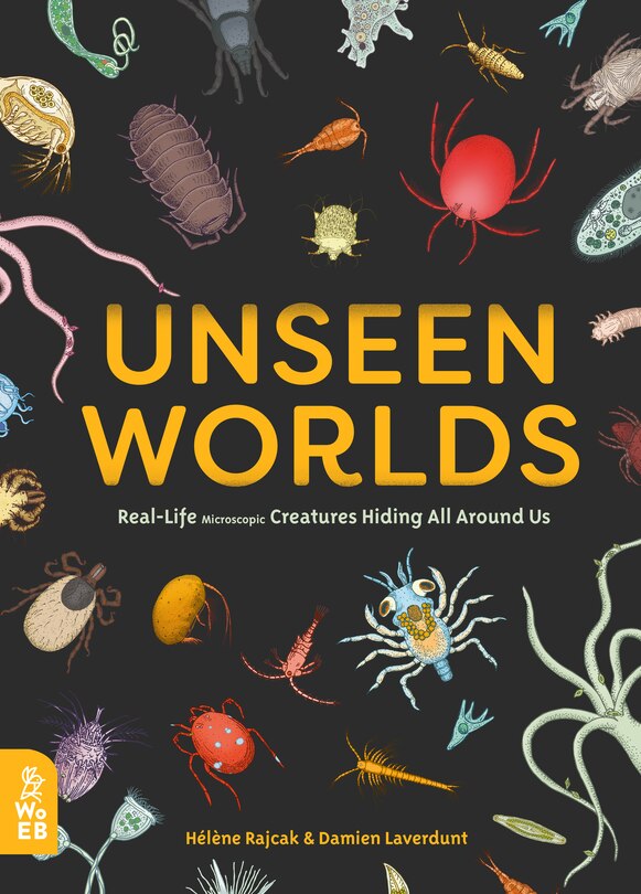 Couverture_Unseen Worlds