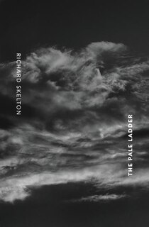 Front cover_The Pale Ladder