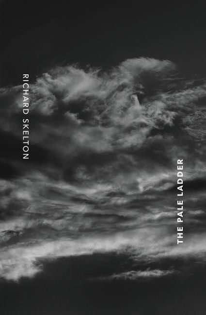 Front cover_The Pale Ladder