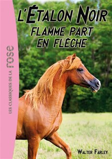 Couverture_Flamme part en flèche