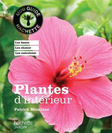 Plantes d'intérieur