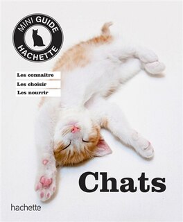 Chat mini-guide