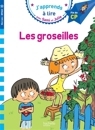 Sami Et Julie Cp Niveau 3 Les Groseilles