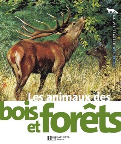 ANIMAUX DES BOIS ET FORET