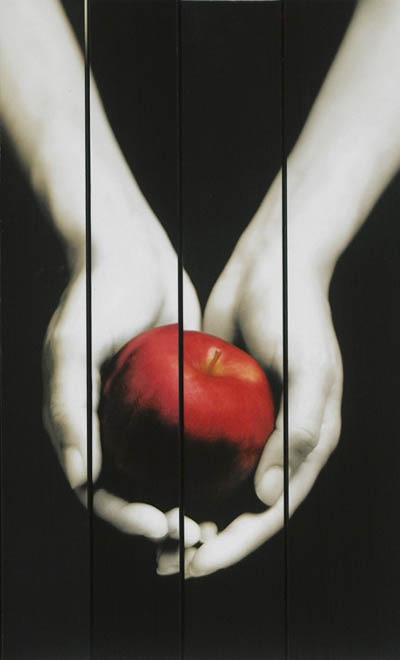 Front cover_Twilight : la saga
