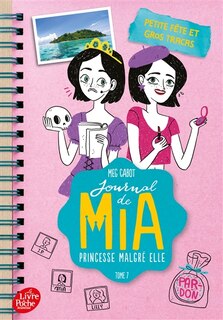 Couverture_Petite fête et gros tracas