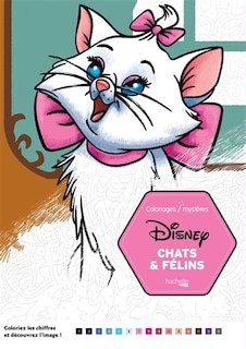 Couverture_Chats & félins