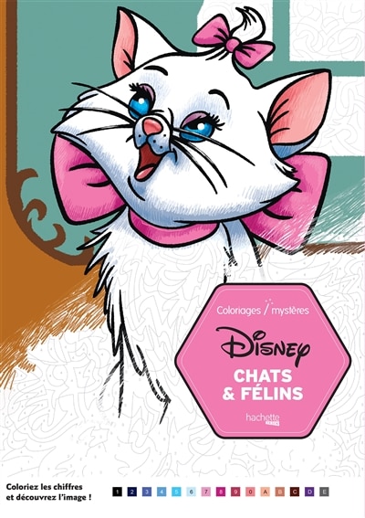 Couverture_Chats & félins