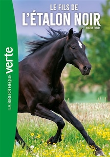 Couverture_Le fils de l'étalon noir