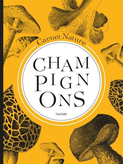 Front cover_Champignons