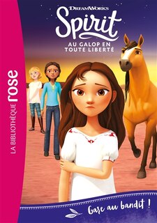 Front cover_Gare au bandit !