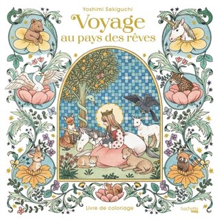 Couverture_Voyage au pays des rêves