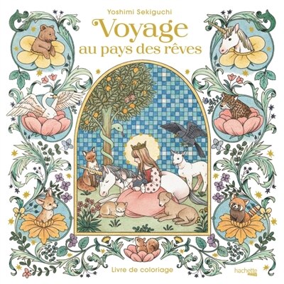 Couverture_Voyage au pays des rêves
