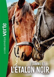 Couverture_Flamme et l'étalon noir
