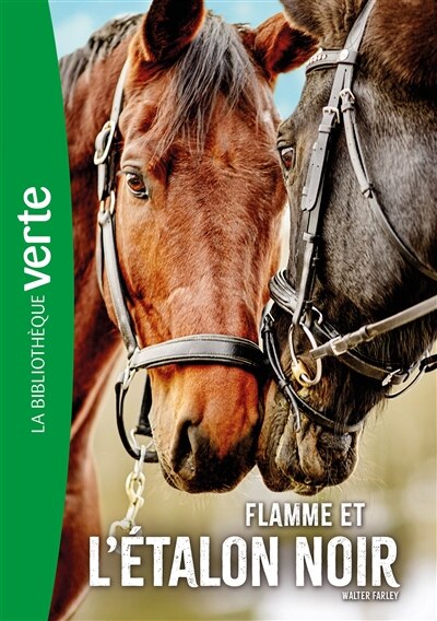 Couverture_Flamme et l'étalon noir