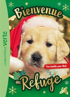 Front cover_Une famille pour Noël