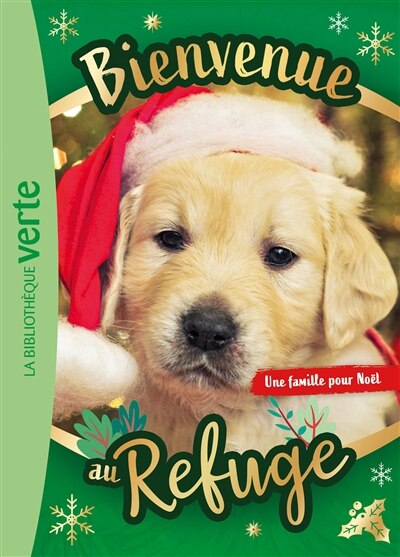 Front cover_Une famille pour Noël