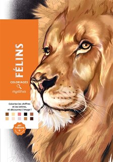 Couverture_Félins : coloriages mystères