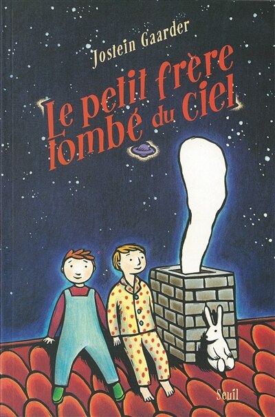 Le petit frère tombé du ciel