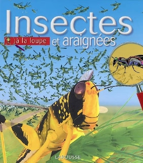 Front cover_Insectes et araignées à la loupe