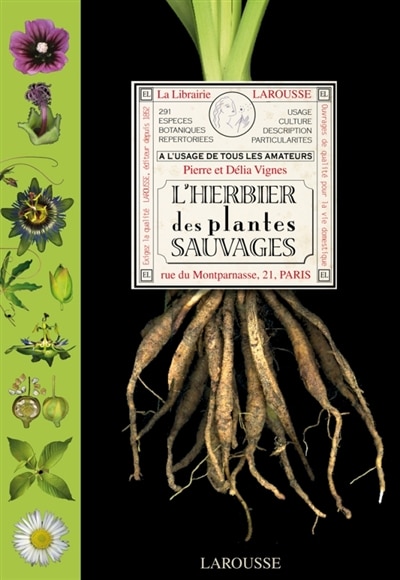 L' herbier des plantes sauvages: à l'usage de tous les amateurs