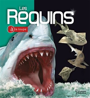 Front cover_Les requins