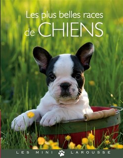 Couverture_Les plus belles races de chiens