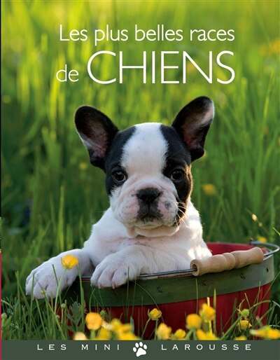 Couverture_Les plus belles races de chiens