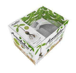 Avocadabra! -coffret