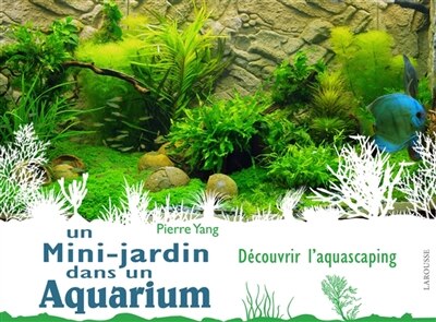 Couverture_Un mini-jardin dans un aquarium
