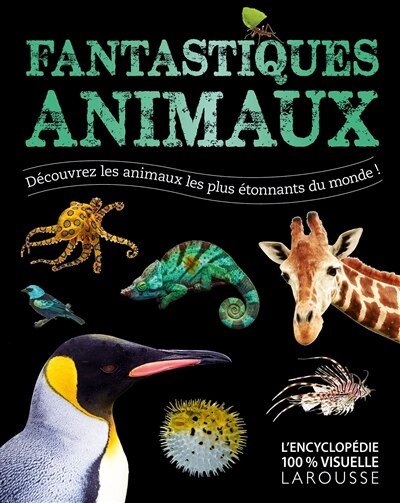 Front cover_Fantastiques animaux