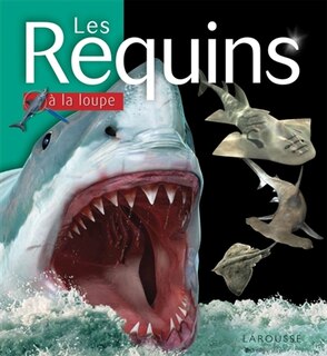 Front cover_Les requins