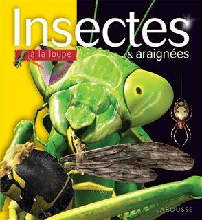 Front cover_Insectes Et Araignées