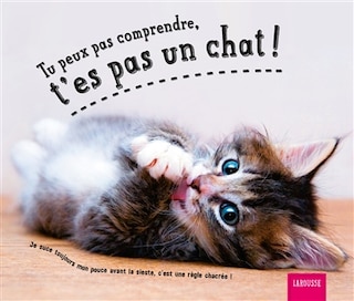 Couverture_Tu peux pas comprendre, t'es pas un chat !