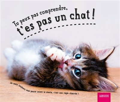 Couverture_Tu peux pas comprendre, t'es pas un chat !