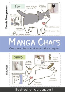 Manga chats: ces deux chats vont vous faire craquer !