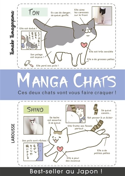 Manga chats: ces deux chats vont vous faire craquer !
