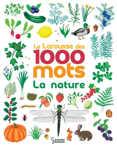 Couverture_LAROUSSE DES 1000 MOTS