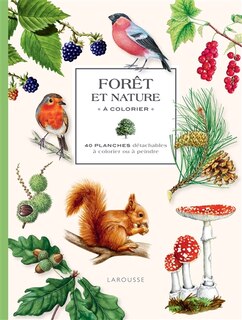 Front cover_Forêt et nature à colorier