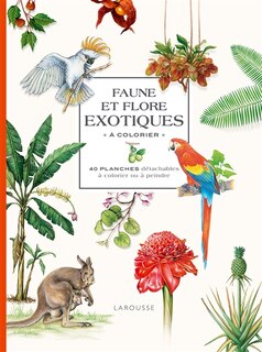 Couverture_Faune et flore exotiques à colorier