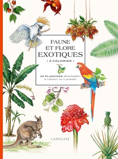 Couverture_Faune et flore exotiques à colorier