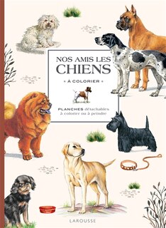 Front cover_Nos amis les chiens à colorier : planches détachables à colorier ou à peindre