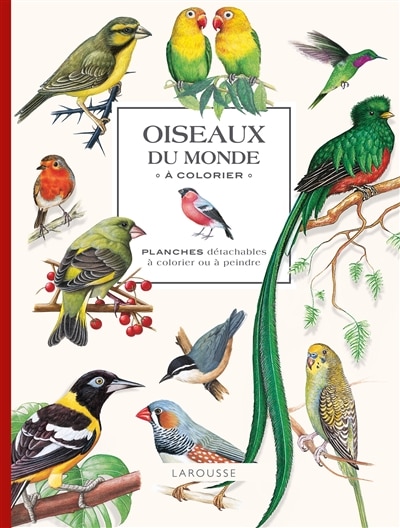 Front cover_Oiseaux du monde à colorier
