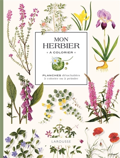Couverture_MON HERBIER A COLORIER