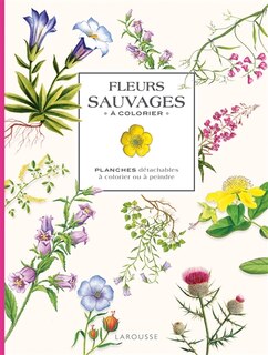 Front cover_Fleurs sauvages à colorier